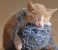 Cat and Yarn Ball